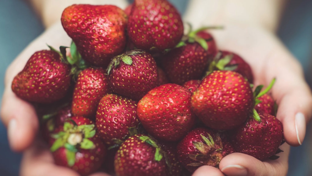 Comment conserver plus longtemps les fraises