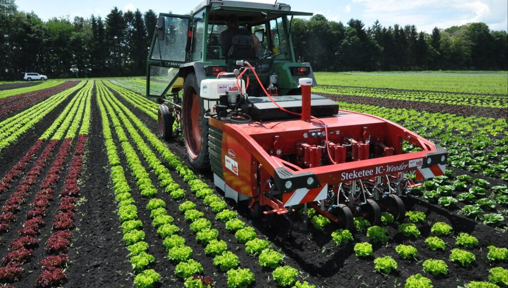 Réduction de l’utilisation de produits phytosanitaires en culture maraîchère grâce à la robotique